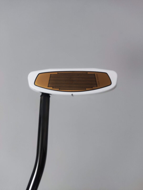 Ny Taylormade Spider FCG - Bild 2