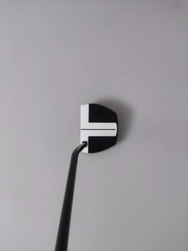 Ny Taylormade Spider FCG - Bild 8