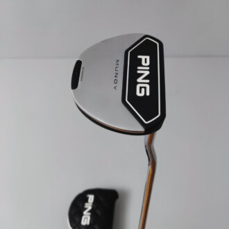 Demo Ex / Ping Mundy