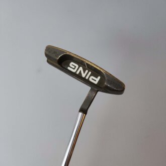 Ping Pal 21