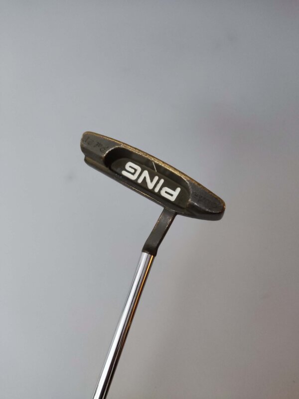 Ping Pal 21